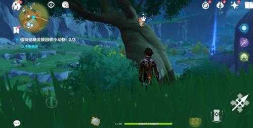 传心同视活动第六天动物位置,第六天心得