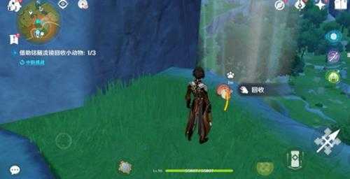 传心同视活动第六天动物位置,第六天心得