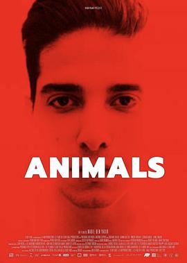 Pr?y 动物 Animals